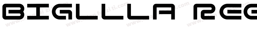 bigllla regular字体转换